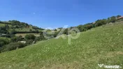 3.757 mp în Poiana Mărului | Teren cu potențial, lângă