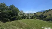 3.757 mp în Poiana Mărului | Teren cu potențial, lângă
