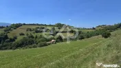 3.757 mp în Poiana Mărului | Teren cu potențial, lângă