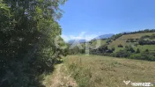 3.757 mp în Poiana Mărului | Teren cu potențial, lângă