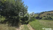 3.757 mp în Poiana Mărului | Teren cu potențial, lângă