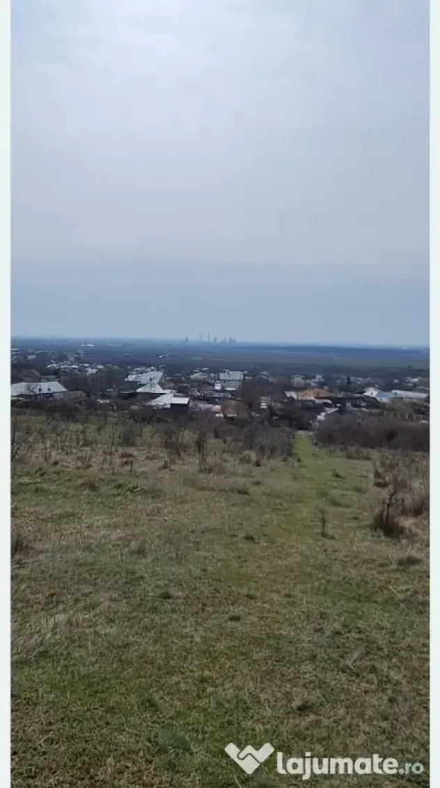 Teren viticol intravilan/extravilan 3,5 ha