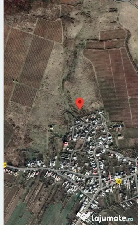 Teren viticol intravilan/extravilan 3,5 ha