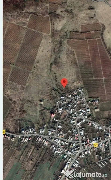 Teren viticol intravilan/extravilan 3,5 ha