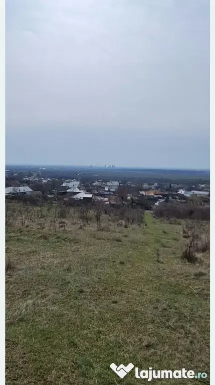 Teren viticol intravilan/extravilan 3,5 ha