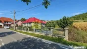 Casă singur în curte – Mureș - Idrifaia 