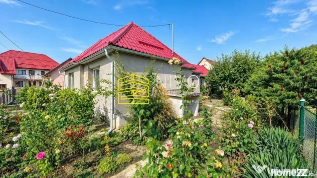 Casă singur în curte – Mureș - Idrifaia - Idrifaia (Mures)