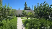 VILA NOUA PANTELIMON -CERNICA 
