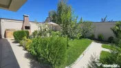 VILA NOUA PANTELIMON -CERNICA 