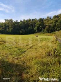 Teren intravilan de vanzare, 2.844 mp, zona Arcalia