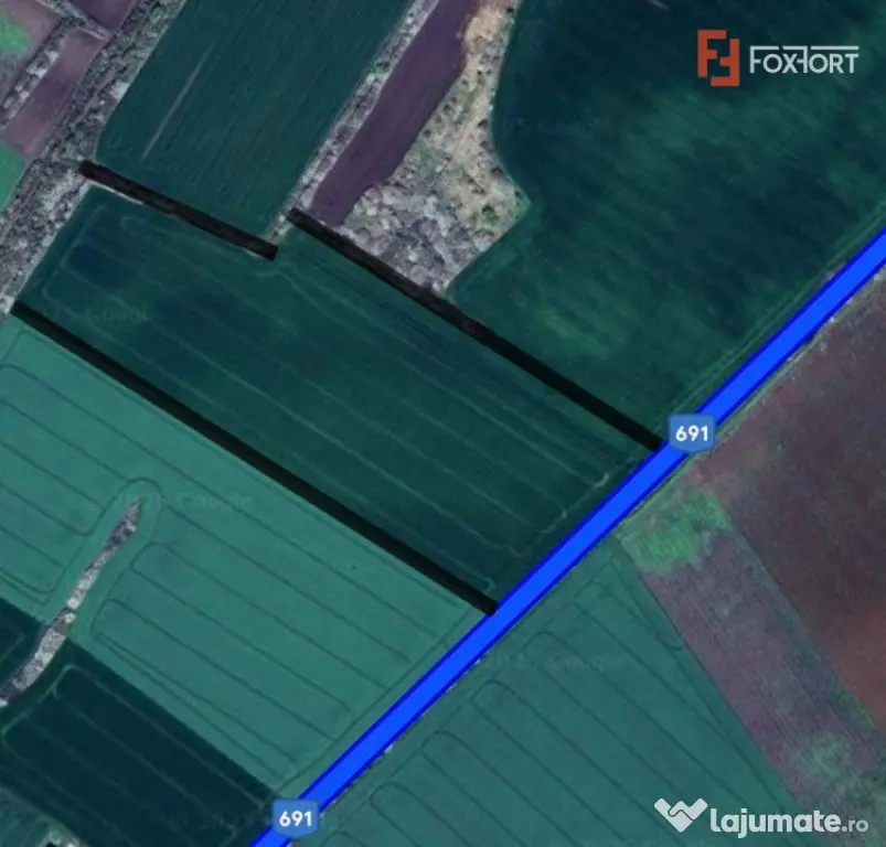 Teren extravilan 106400 mp la Asfalt in Pischia - Pischia (Timis)