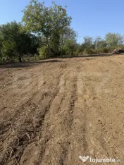 Teren intravila in suprafata de 1360 mp
