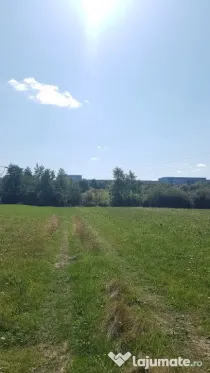 Rus, 1 ha teren extrav.