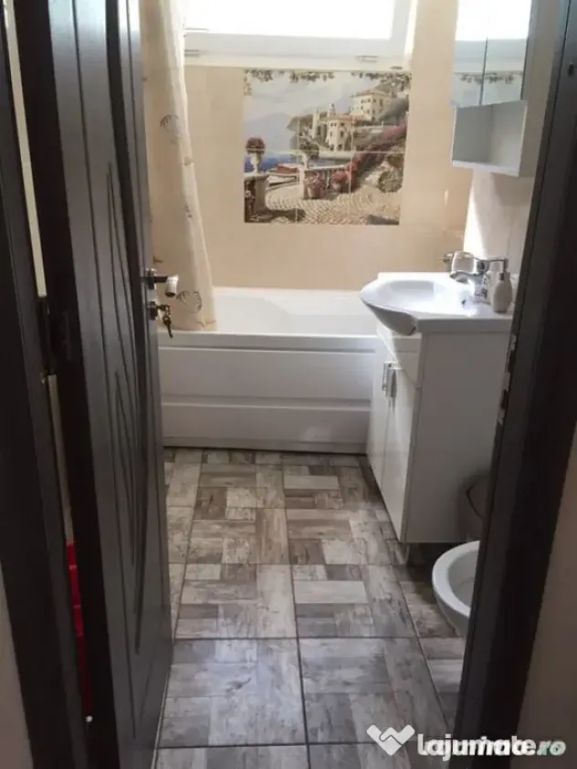 Apartament cu o camera de inchiriat in zona Complexului Studentesc - Timisoara (Timis)