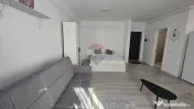 Apartament cu 1 camere de închiriat în zona Fermelor 