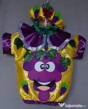 Costum Strugure pentru copii, 3-4- 5-6-7 ani ,165 lei 