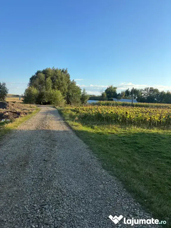 Teren 2600 mp Cumpărăturac(Bosanci)-26 ari,ușor negociabil