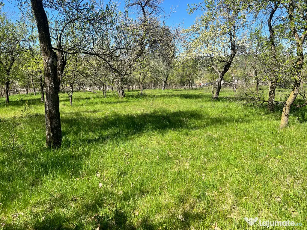Teren intravilan, Comuna Corbi, Jud. Argeș, toarte utilitat - Corbi (Arges)