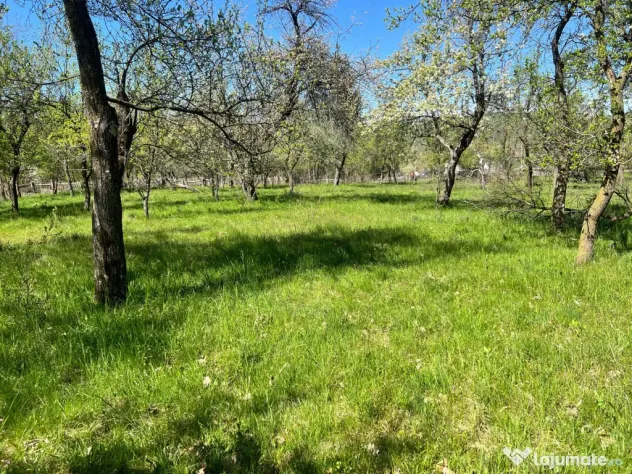 Teren intravilan, Comuna Corbi, Jud. Argeș, toarte utilitat - Corbi (Arges)