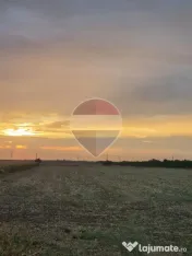 Teren Intravilan de vanzare BALTENI / Peris 