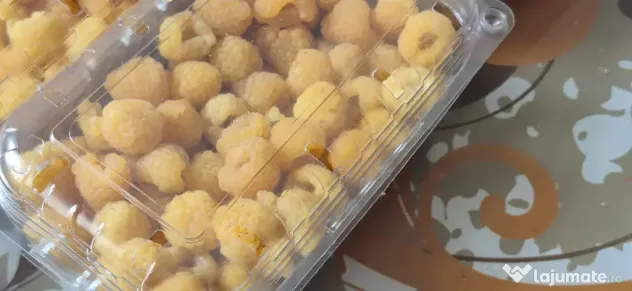Zmeură galbenă congelată – de vânzare