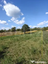 Teren intravilan în Călinești, județul Argeș 
