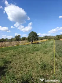 Teren intravilan în Călinești, județul Argeș