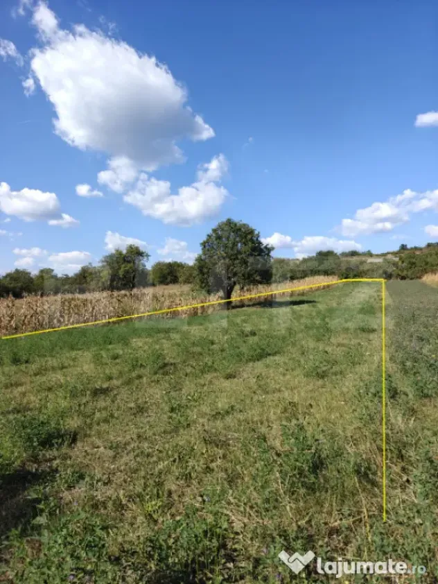 Teren intravilan în Călinești, județul Argeș - Calinesti (Arges)