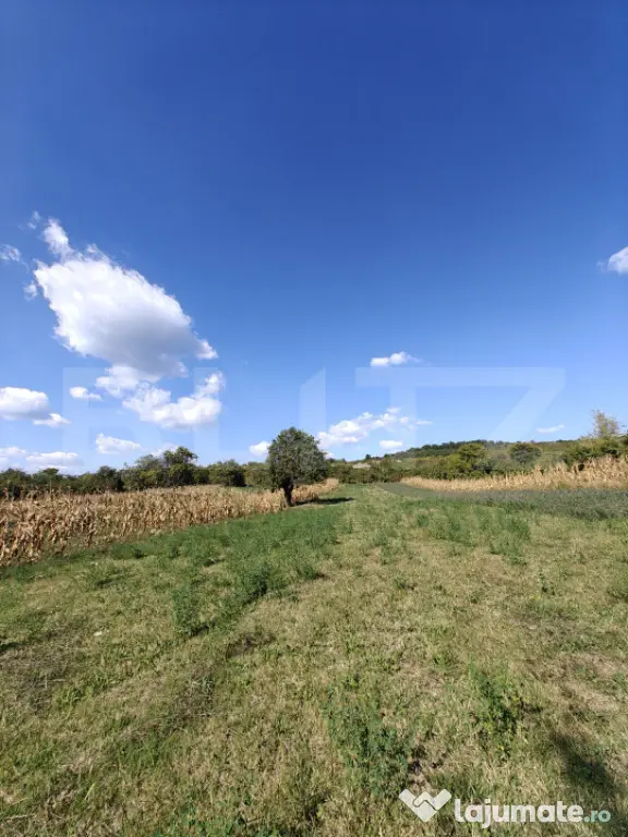 Teren intravilan în Călinești, județul Argeș - Calinesti (Arges)