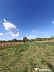 Teren intravilan în Călinești, județul Argeș 