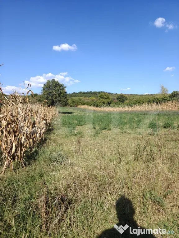 Teren intravilan în Călinești, județul Argeș - Calinesti (Arges)