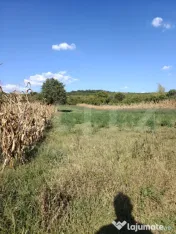 Teren intravilan în Călinești, județul Argeș 