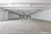 Hală de închiriat – 450 mp utili | Calea Moinești | Zon