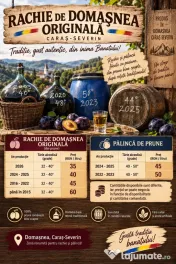 Ţuică/Rachiu/Pălincă de Domaşnea