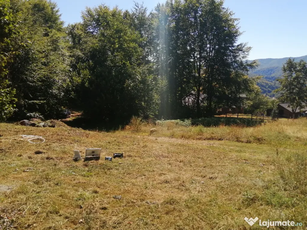 Vând pădure 36 ari cu poieniță în mijlocul ei de 5 ari