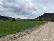 Teren 3,157mp Gura Humorului / Aleea Maftei 