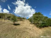 Teren intravilan 2.700 mp | Priveliște panoramică | Viisoa 