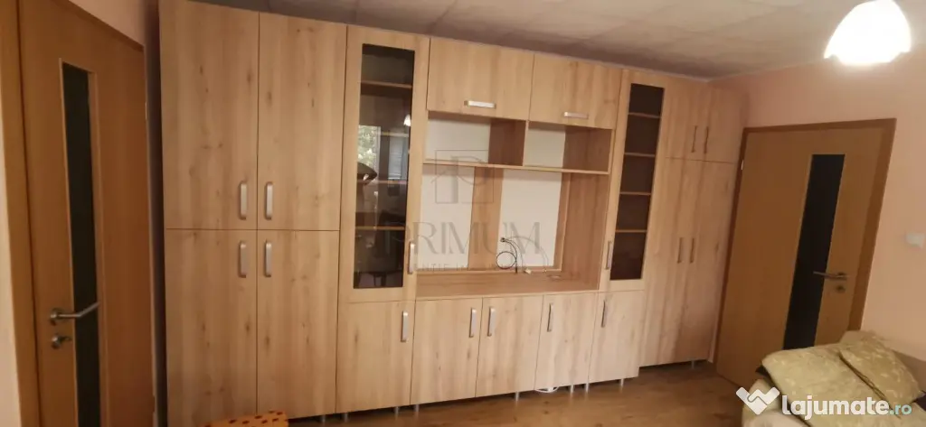 DAMBOVITA - 2 CAMERE - CENTRALA PROPRIE - BLOC IZOLAT - Timisoara (Timis)