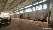 Hala 2000-5000 mp, Calea Severinului, 12m inaltime 