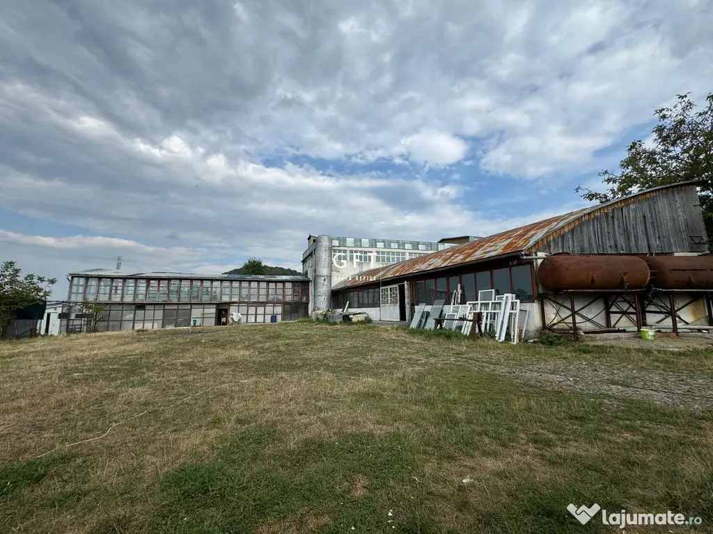 Exclusivitate! Complex multifunctional de vanzare/de inchiriat!!! - Bistrita (Bistrita-Nasaud)