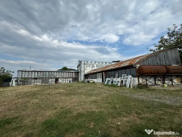 Exclusivitate! Complex multifunctional de vanzare/de inchiriat!!! - Bistrita (Bistrita-Nasaud)