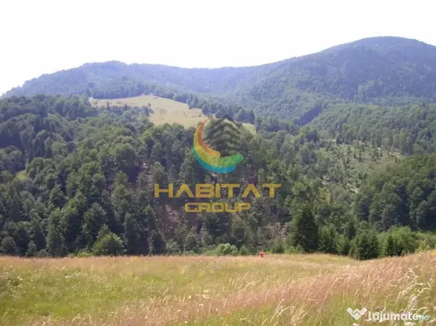 Teren Dambovicioara 6000 mp Ideal Investitie - Dambovicioara (Arges)