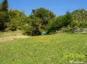 Teren Dambovicioara 6000 mp Ideal Investitie 