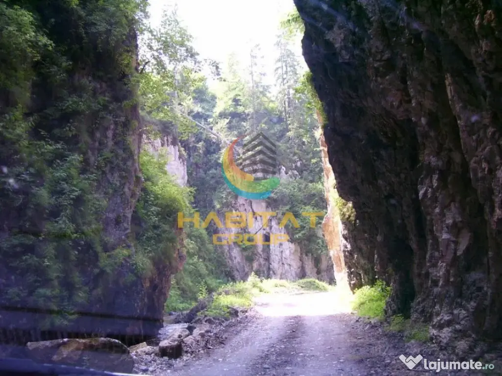 Teren Dambovicioara 6000 mp Ideal Investitie - Dambovicioara (Arges)