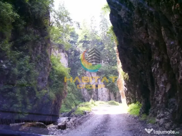 Teren Dambovicioara 6000 mp Ideal Investitie - Dambovicioara (Arges)