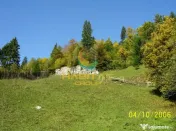 Teren Dambovicioara 6000 mp Ideal Investitie 