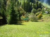 Teren Dambovicioara 6000 mp Ideal Investitie 