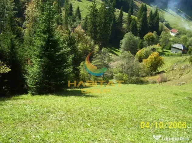 Teren Dambovicioara 6000 mp Ideal Investitie - Dambovicioara (Arges)
