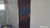 Casa 3 camere, teren 736 mp, de vanzare în Bailesti