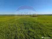 Teren de poveste în Gura Râului, zona Stejeret 